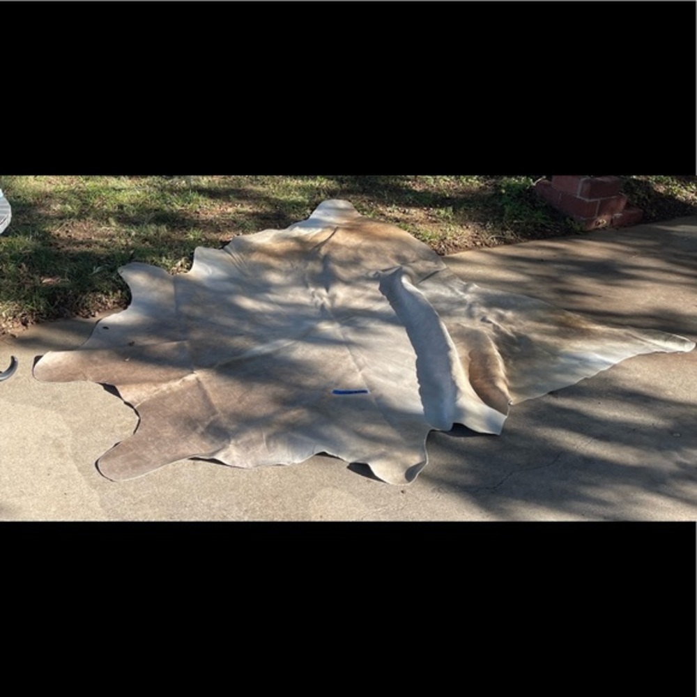 Cowhide rug. Large. Super nice.
